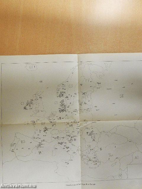 The Tale of Cupid and Psyche