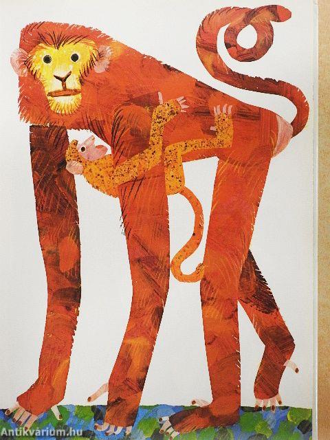 Die Affenmutter liebt ihr Kind