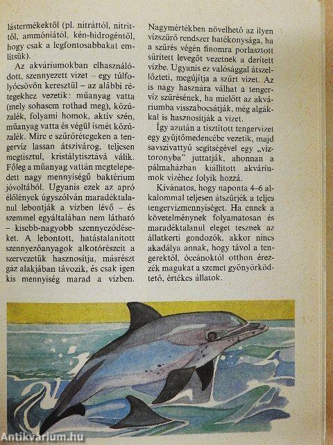 Állatkerti boszorkánykonyha