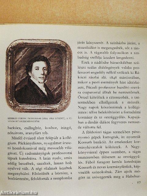 A bagolyvár és lakói