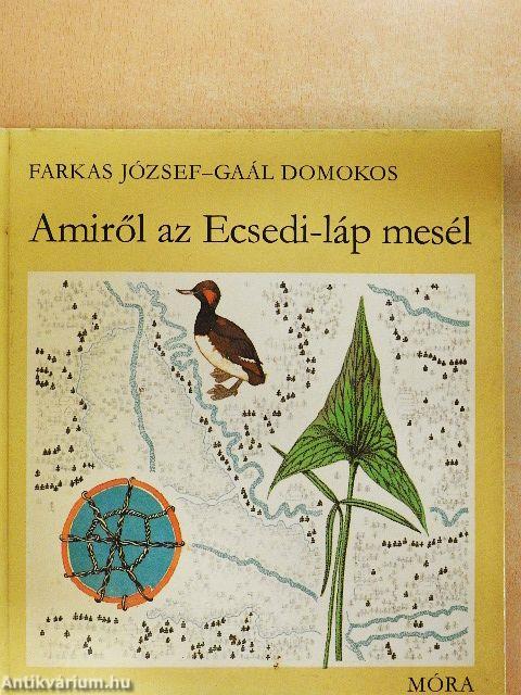 Amiről az Ecsedi-láp mesél