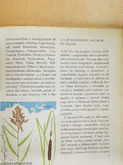 Amiről az Ecsedi-láp mesél