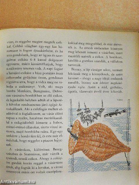 Amiről az Ecsedi-láp mesél