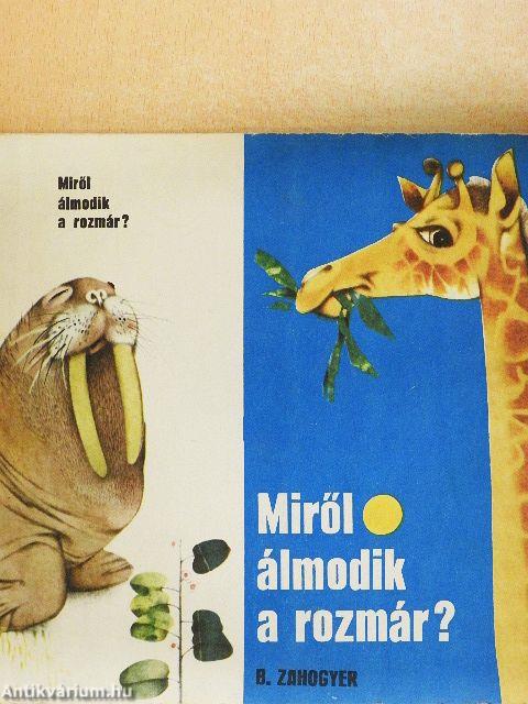 Miről álmodik a rozmár?