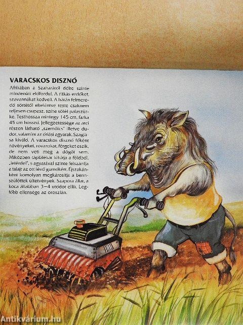 Egzotikus állatok