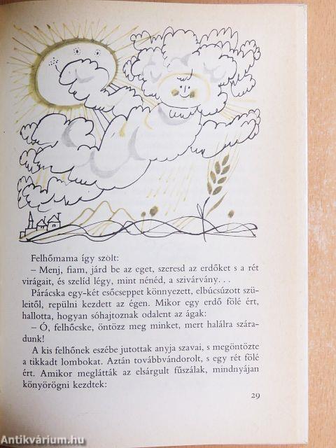 Mese a kiscsikóról és sok más barátunkról