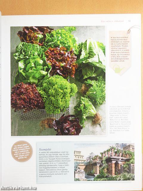 Zöldségek nagykönyve