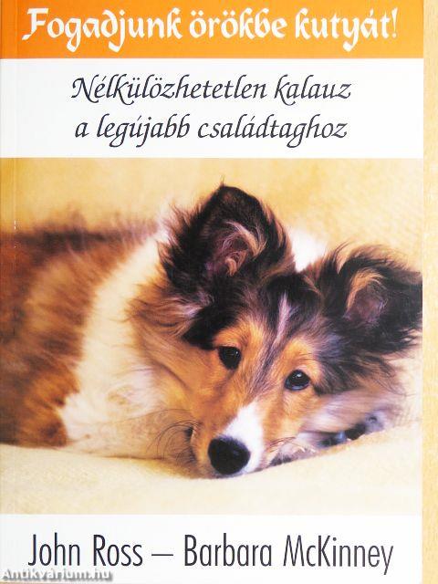 Fogadjunk örökbe kutyát!