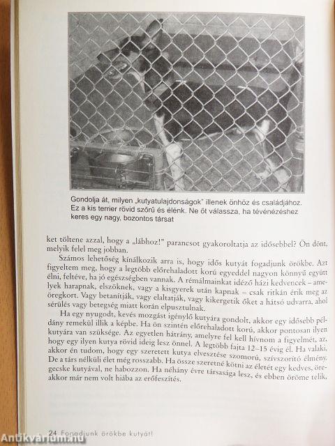 Fogadjunk örökbe kutyát!