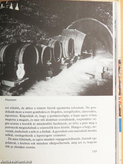 Üres bölcsőnk járása