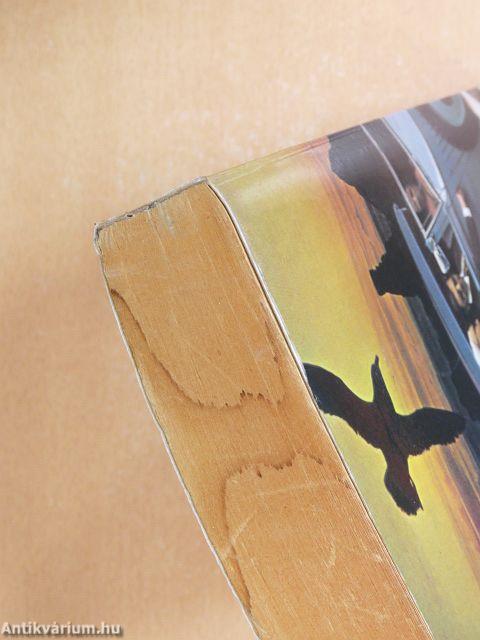 Bellefleur avagy a családi átok 1-2.