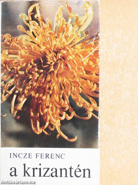 A krizantén