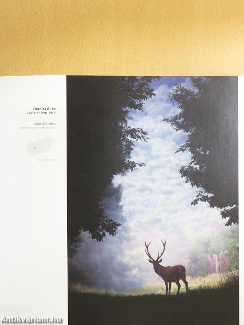 Magyarország 365 fotópályázat 2020