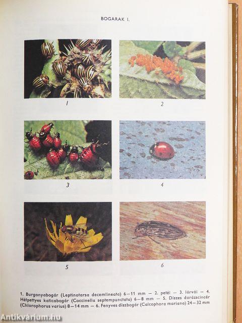 Biológiai lexikon 1-4.