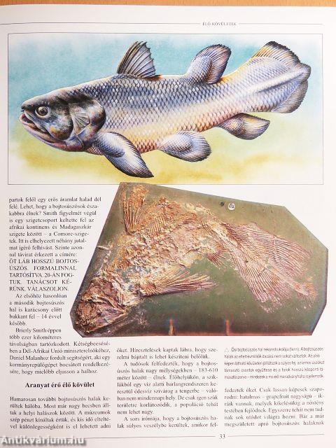 A Föld őstörténete