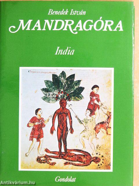 Mandragóra II.