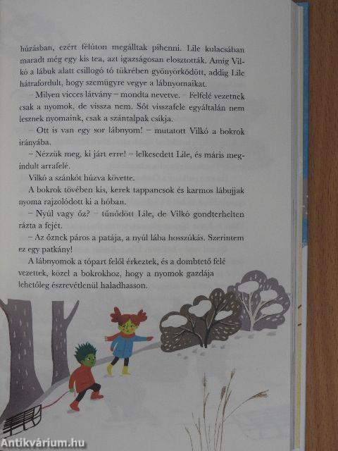 Lengemesék IV. - A Nádtenger télen