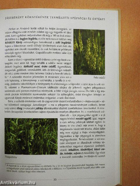 Jászberény környékének természeti szépségei és értékei 