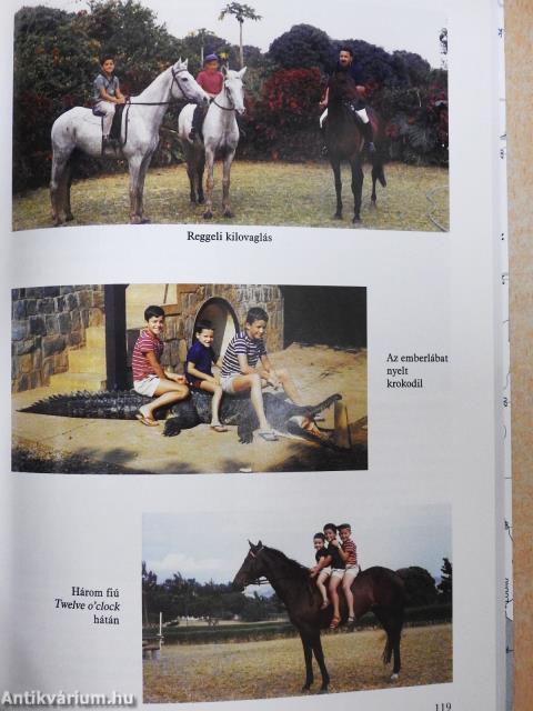 Húsz év Afrika szívében (dedikált példány)