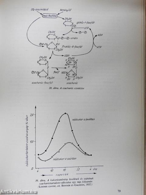 A növények táplálkozása és anyagcseréje (kétszeresen dedikált példány)