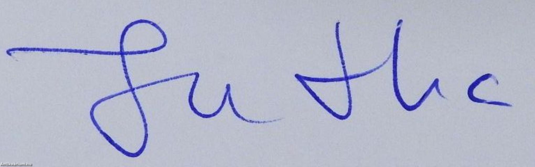 Térkísérletek 1993-2013 (dedikált példány)