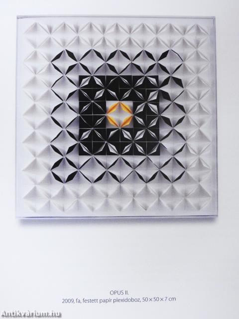 Térkísérletek 1993-2013 (dedikált példány)