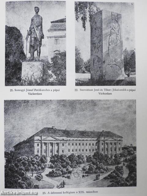 A pápai kollégium története (többszörösen dedikált példány)