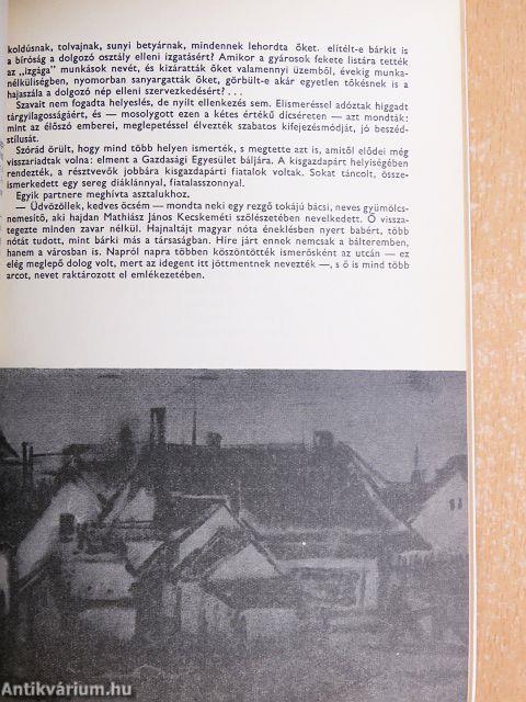 Szülőföldem Bács-Kiskun...