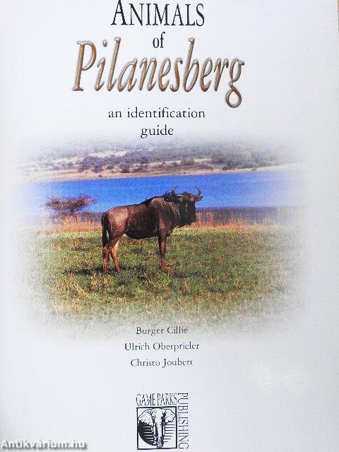 Animals of Pilanesberg