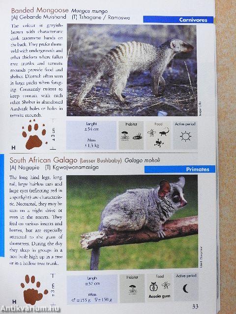 Animals of Pilanesberg