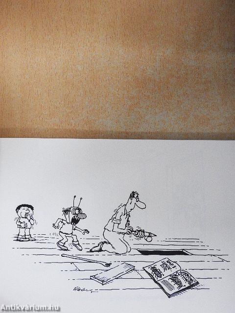 Den Helspro boken om Oppussing