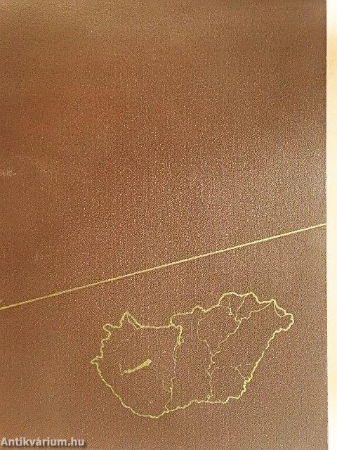 Magyarország gazdasági földrajza