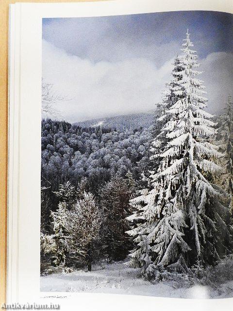 Erdély-Székelyföld - Tél a havason