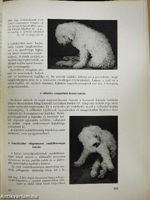 Állatorvosi általános sebészet