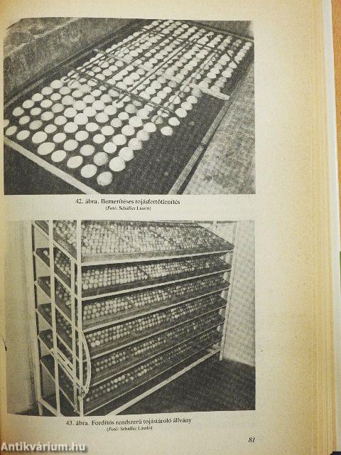 A fácán és vadászata