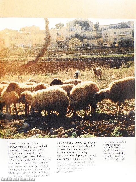 Utazás Jézus földjére