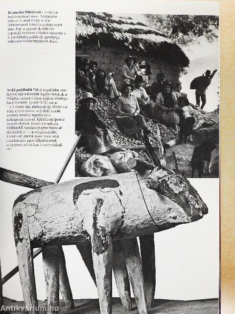 Képes világtörténet