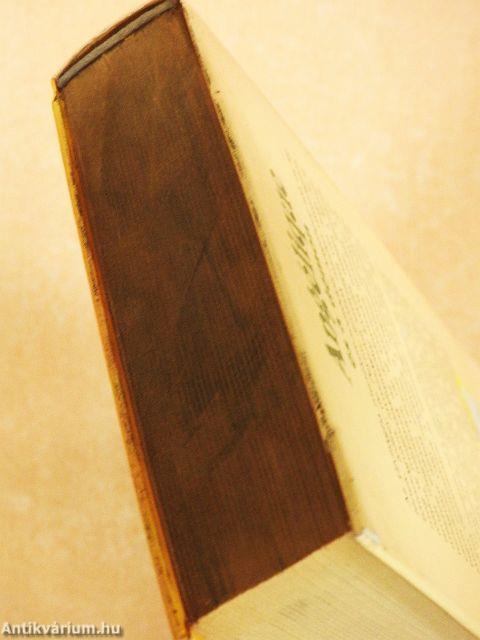 Angélique és a démon