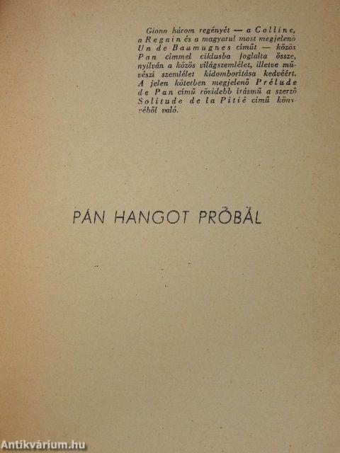 Valaki a hegyekből/Pán hangot próbál