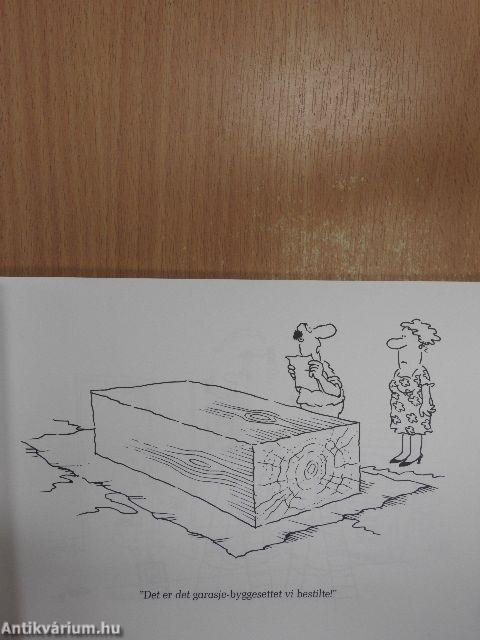 Den Helspro boken om Oppussing