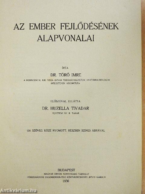 Az ember fejlődésének alapvonalai