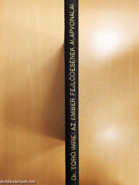 Az ember fejlődésének alapvonalai