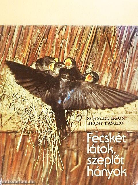 Fecskét látok, szeplőt hányok