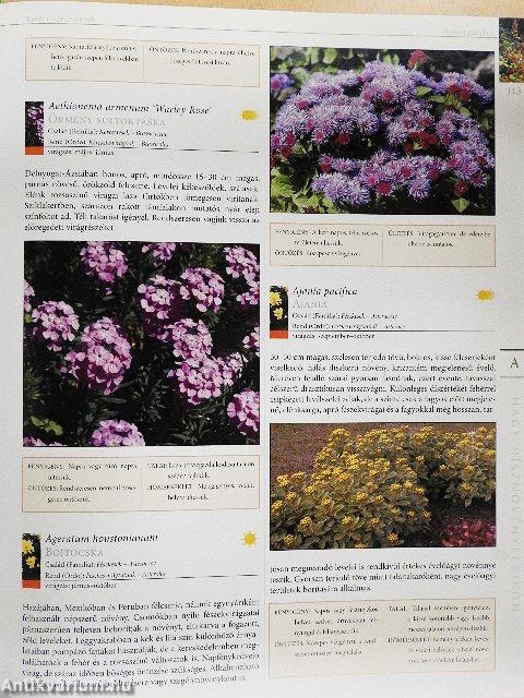 Nagy dísznövénylexikon