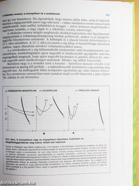 Közgazdaságtan I-III.
