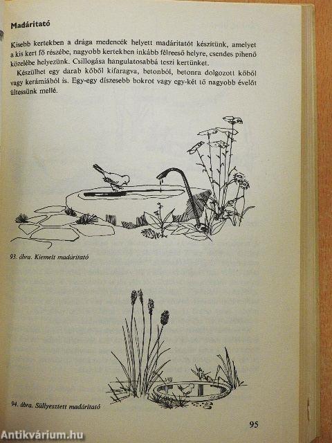 A családi ház kertje