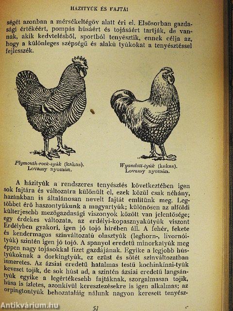 Barátunk és ellenségünk az állat