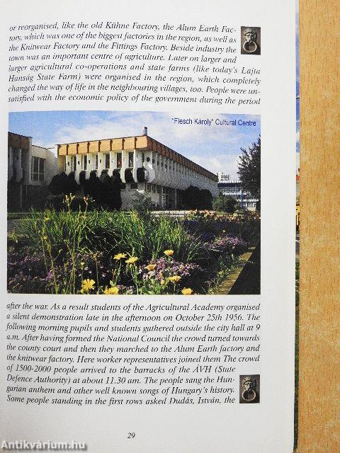 Kisváros az ország szélén - Mosonmagyaróvár