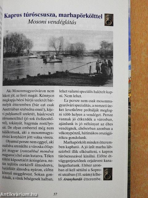 Kisváros az ország szélén - Mosonmagyaróvár