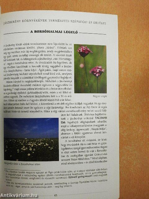 Jászberény környékének természeti szépségei és értékei 